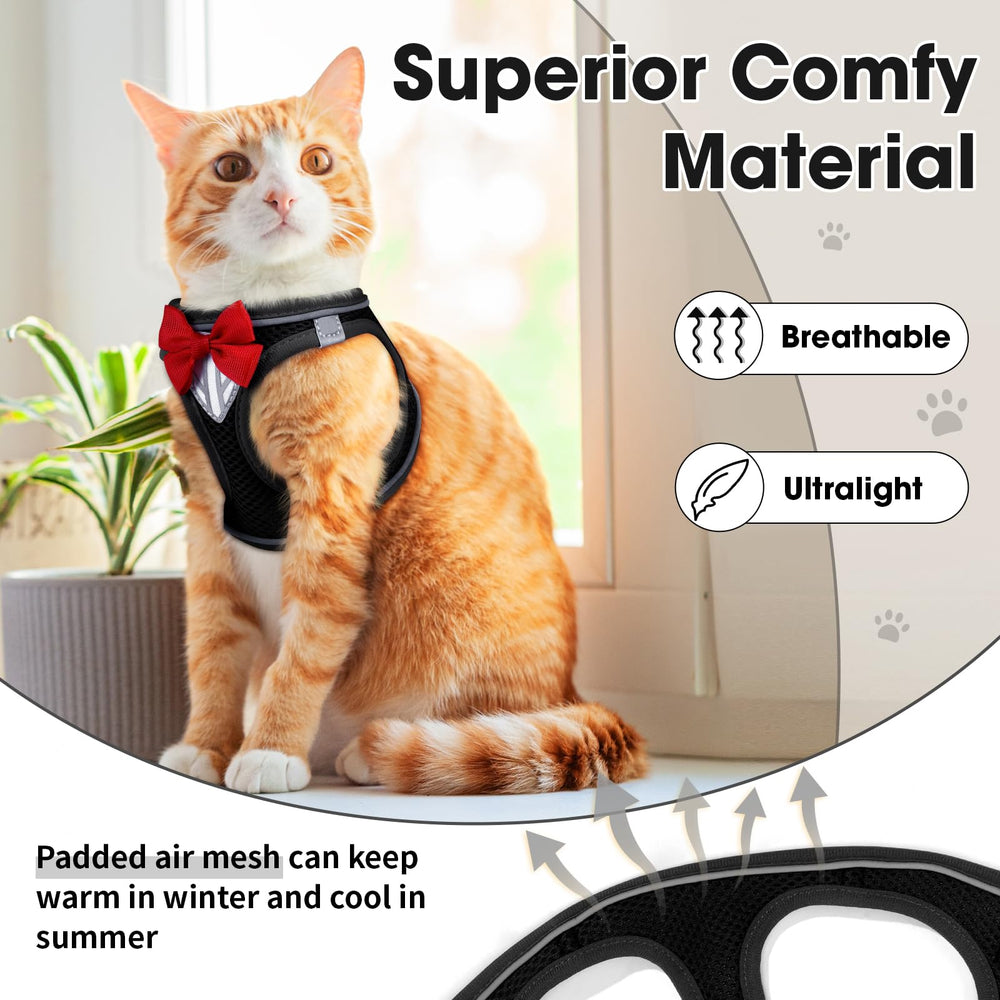 NCMAMA step-in harness design enables easy wearing and secure fit