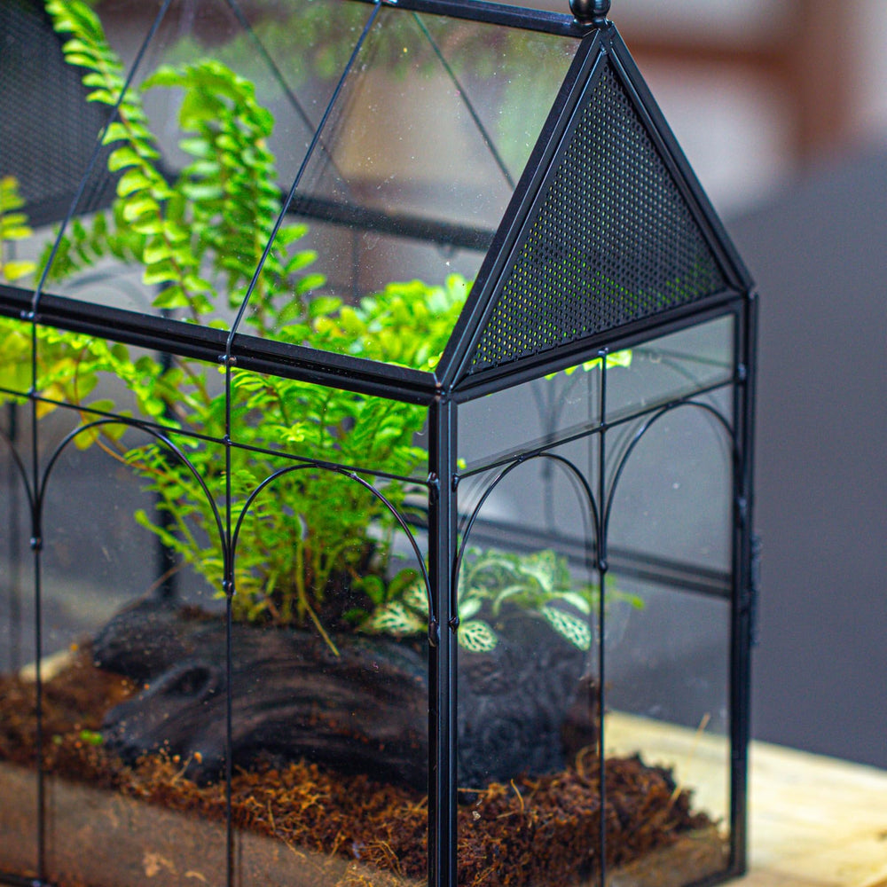 NCYP desk-display terrarium ideal for compact home decor and critter habitat.