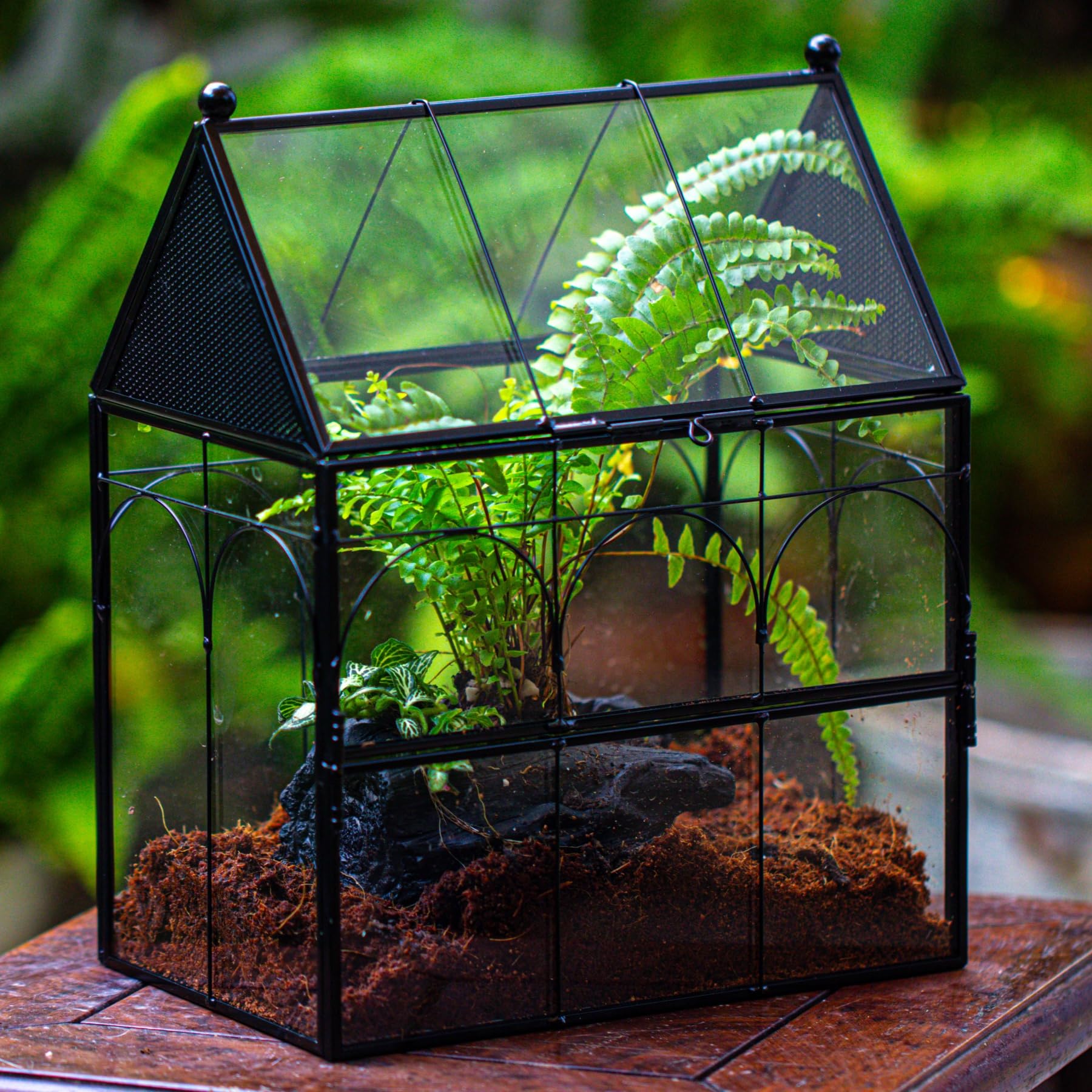 NCYP 7.5x4.9x9 inch terrarium fits shelves easily.
