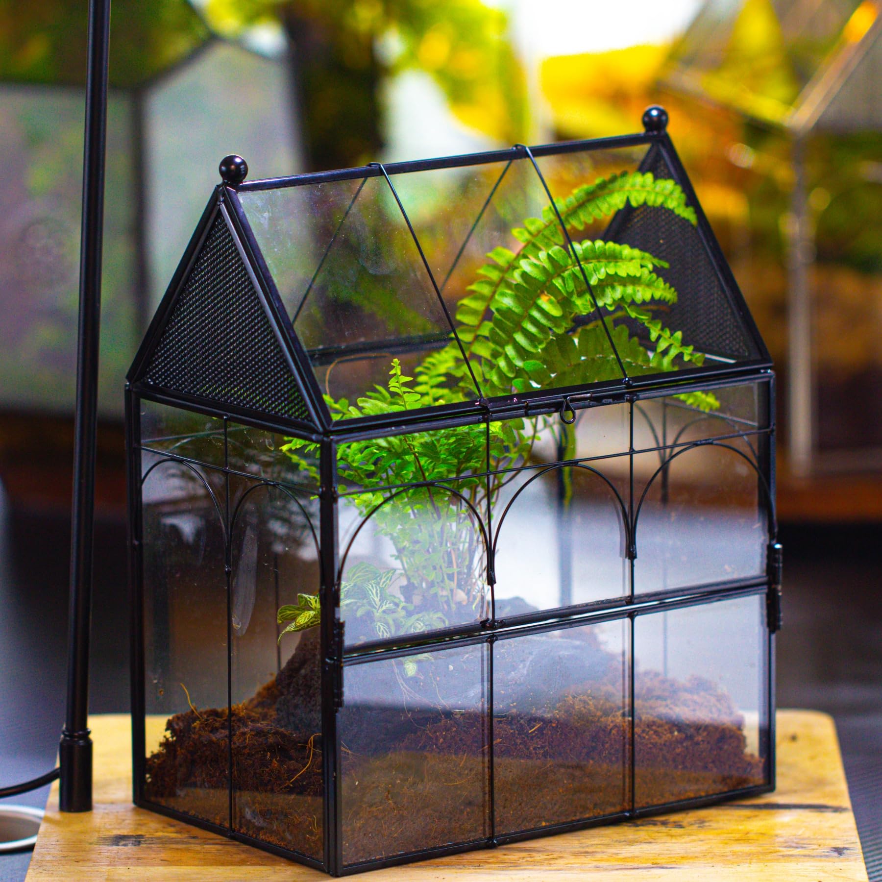 NCYP terrarium vent holes rooftop show airflow suitable for small critters.