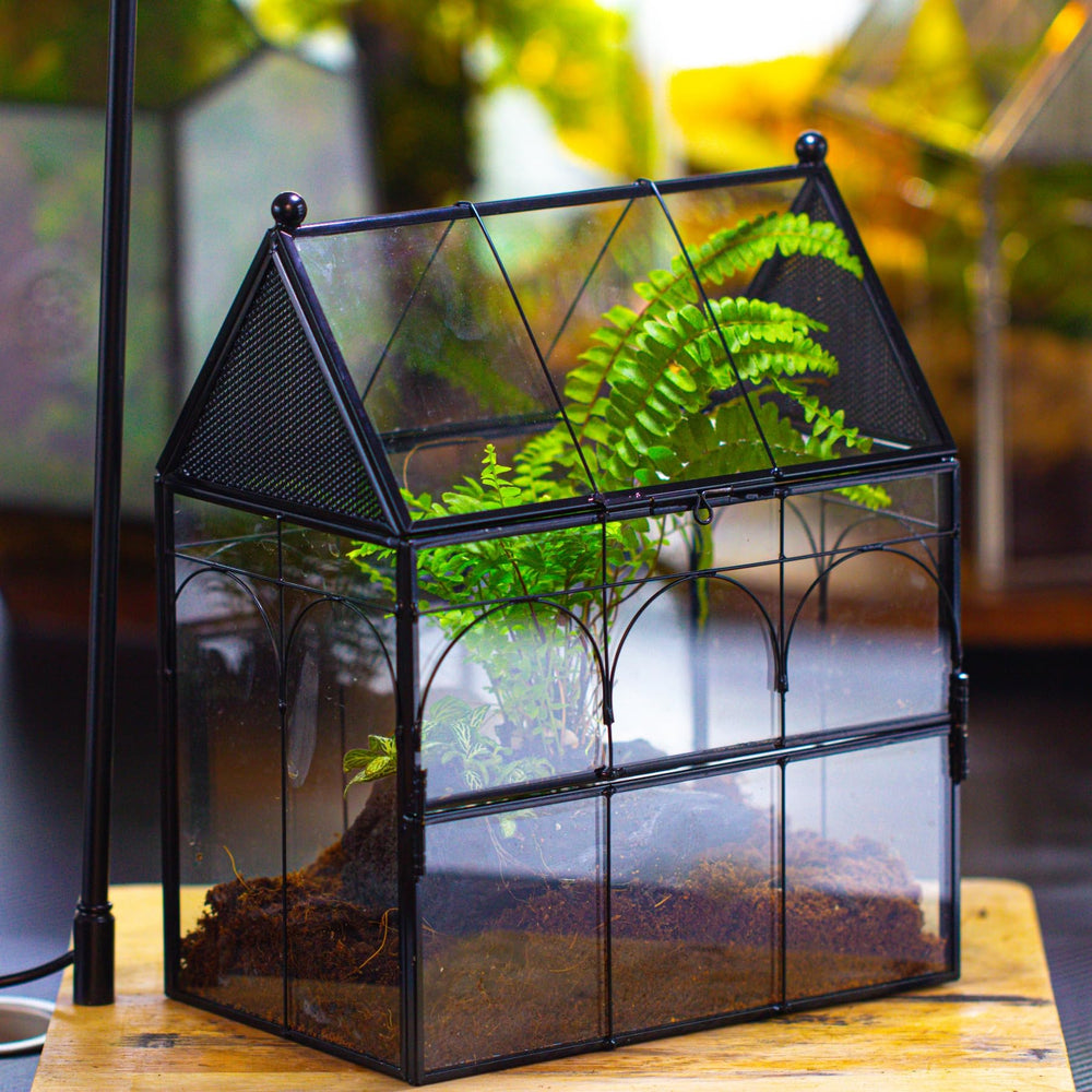 NCYP terrarium vent holes rooftop show airflow suitable for small critters.