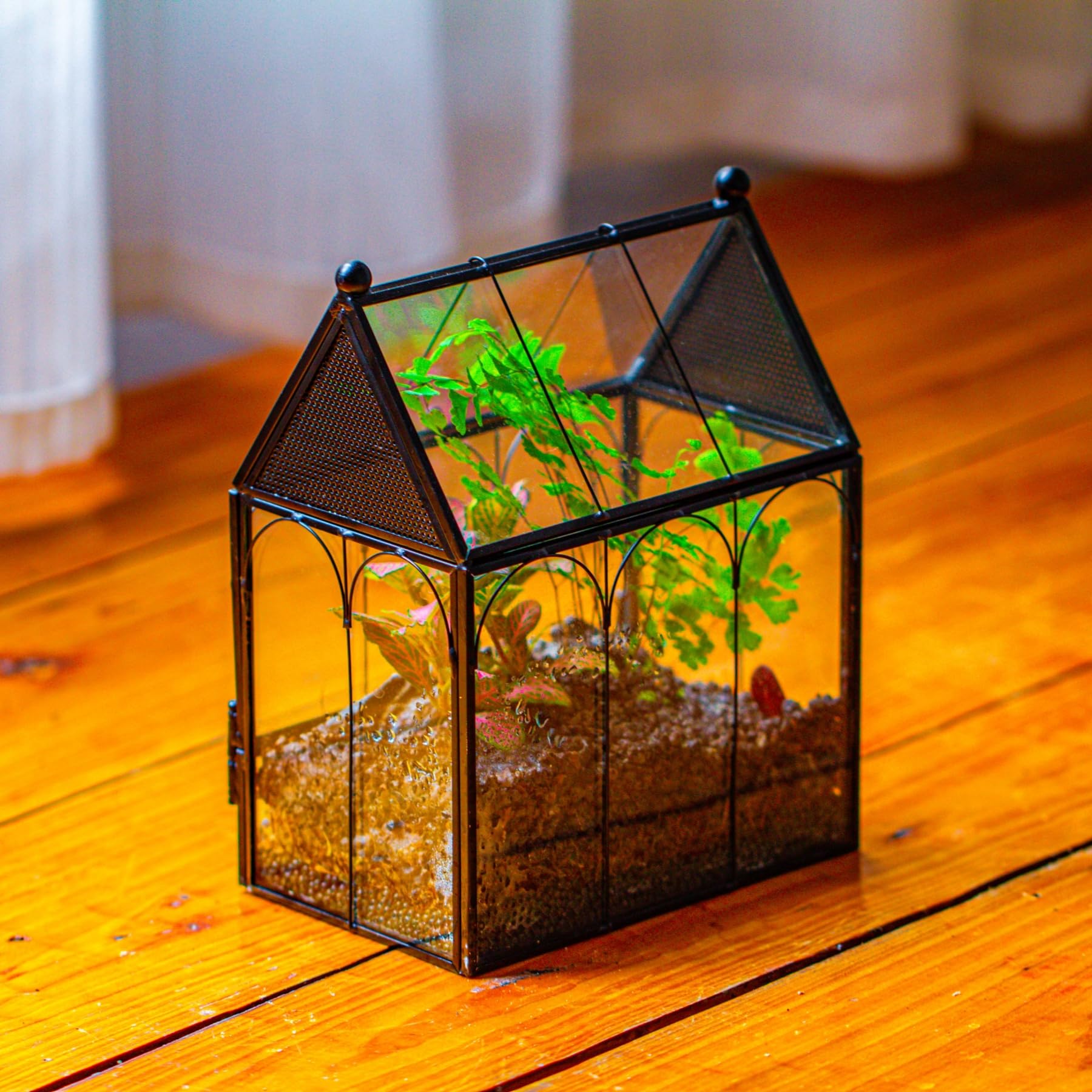 NCYP terrarium dimensions 5.8 x 3.8 x 7 inches show compact footprint