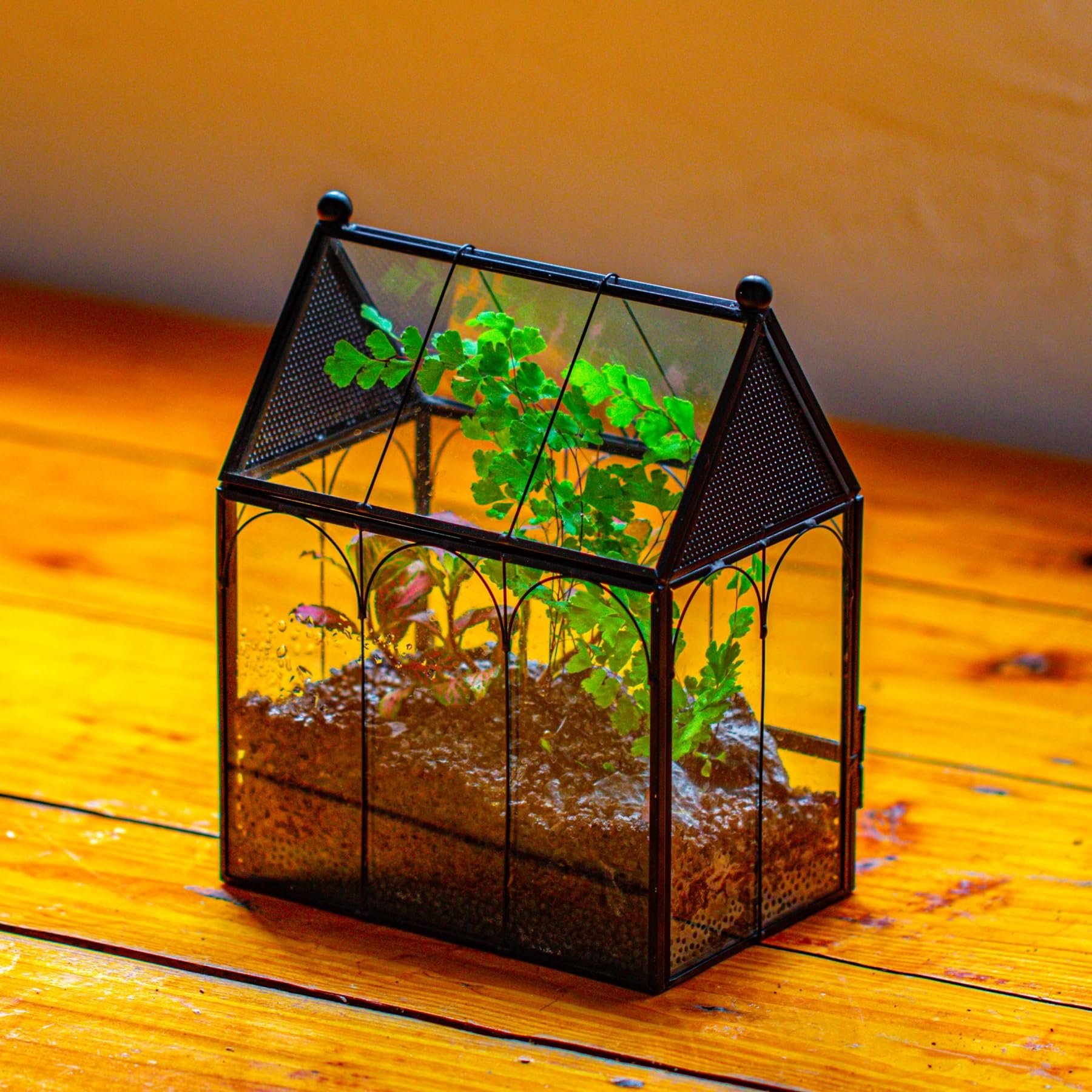 NCYP terrarium door dimensions aid precise access