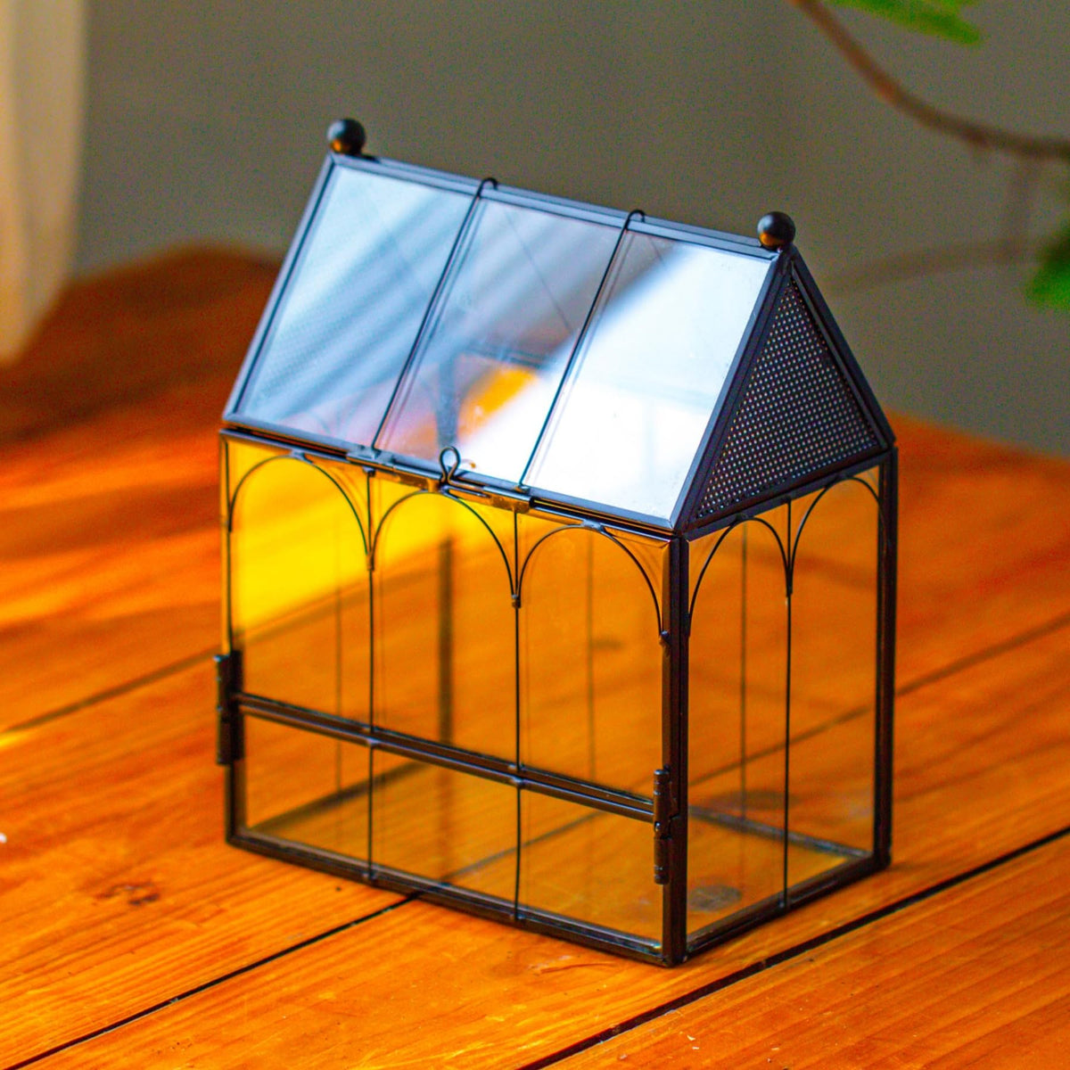 NCYP terrarium front view shows secure, decorative spider habitat