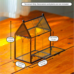 NCYP terrarium house shape adds stylish decor and habitat