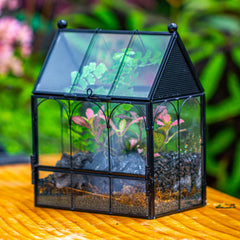 NCYP terrarium mesh vents provide airflow for small pets