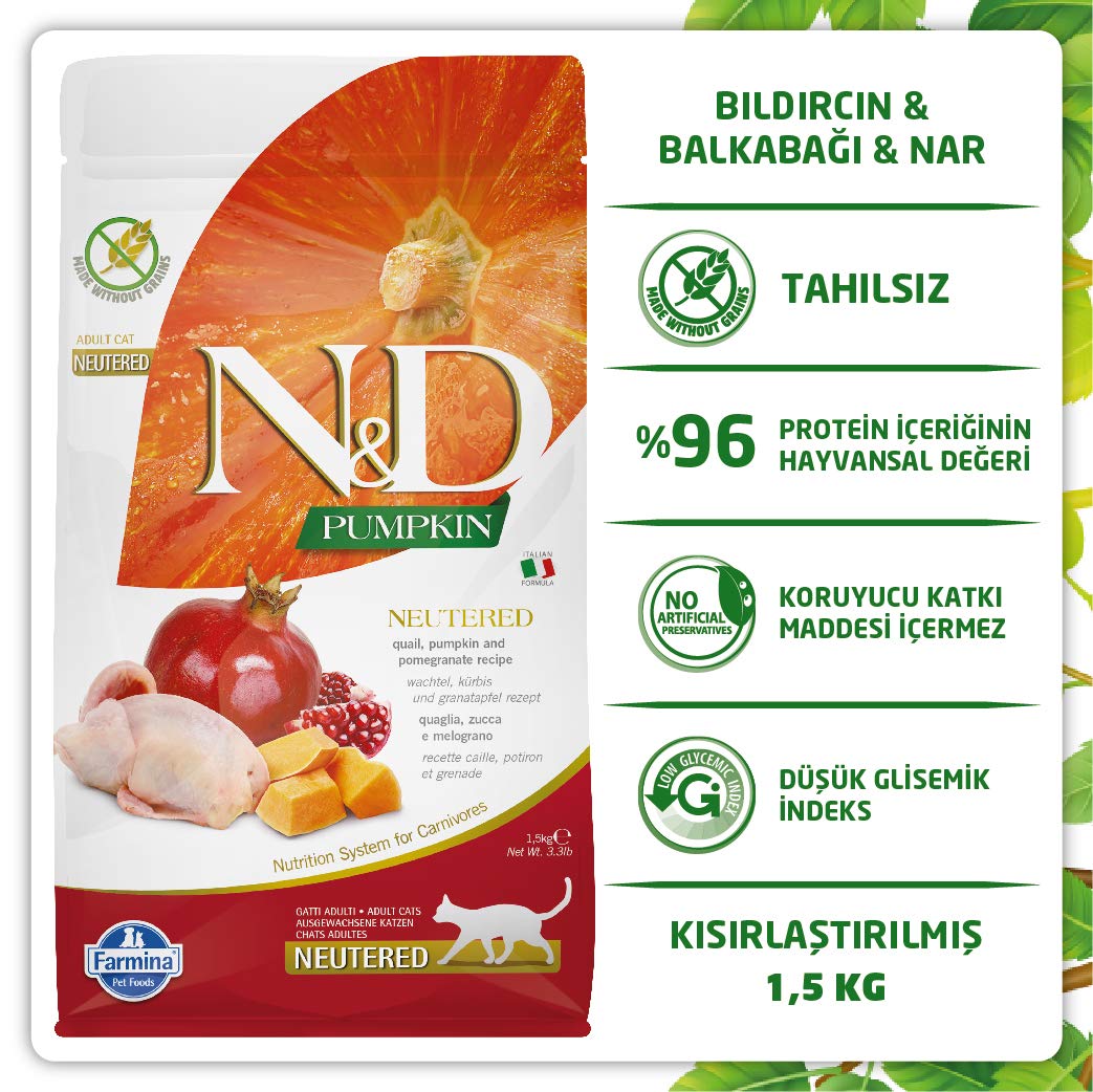 N D cat meal serving bowl demonstrates kibble size and presentation for feeding