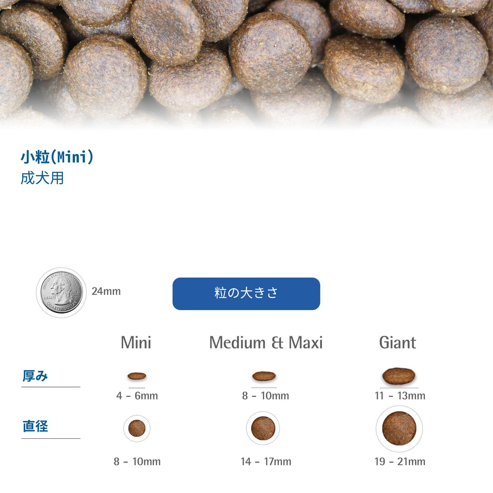 N&D Farmina ingredients chart highlights lamb, pumpkin and berries for nutrition
