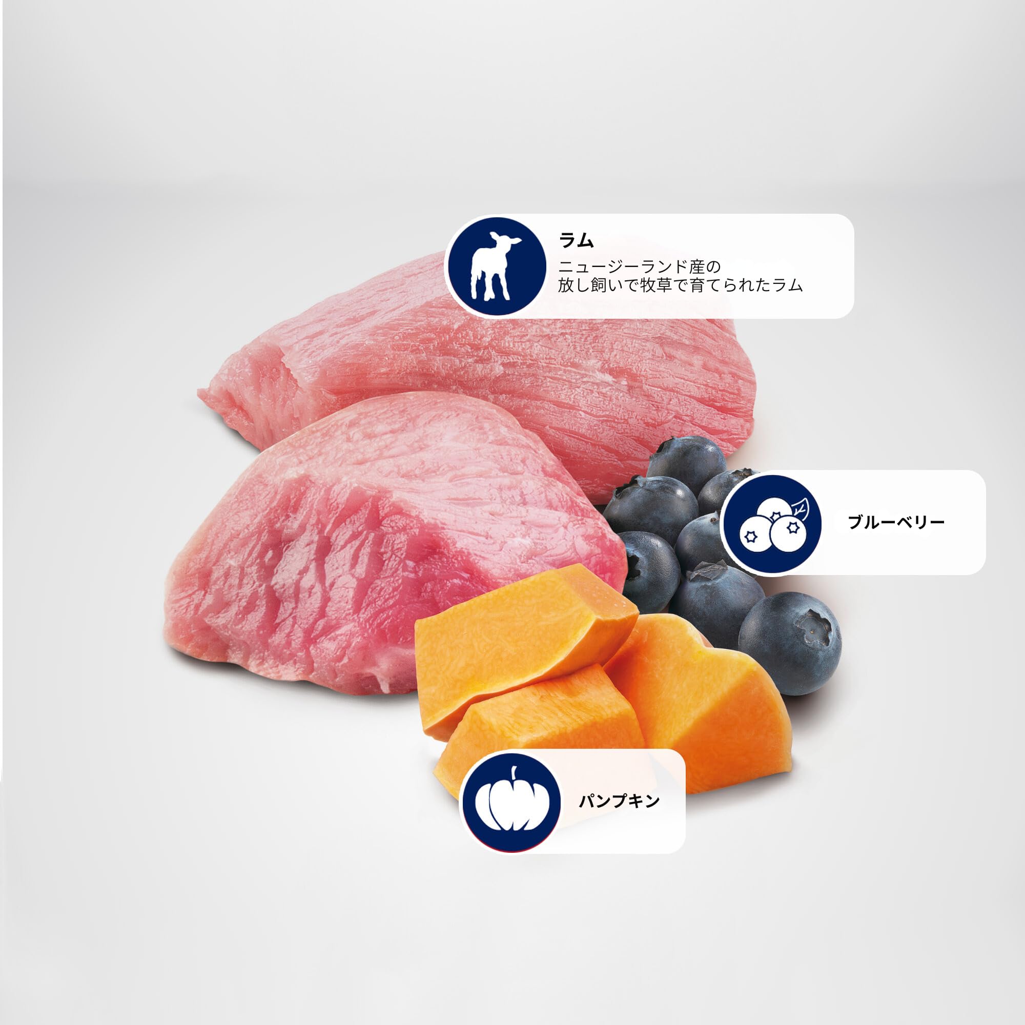 N&D Farmina Lamb & Blueberry Adult Mini kibble close-up shows balanced ingredients