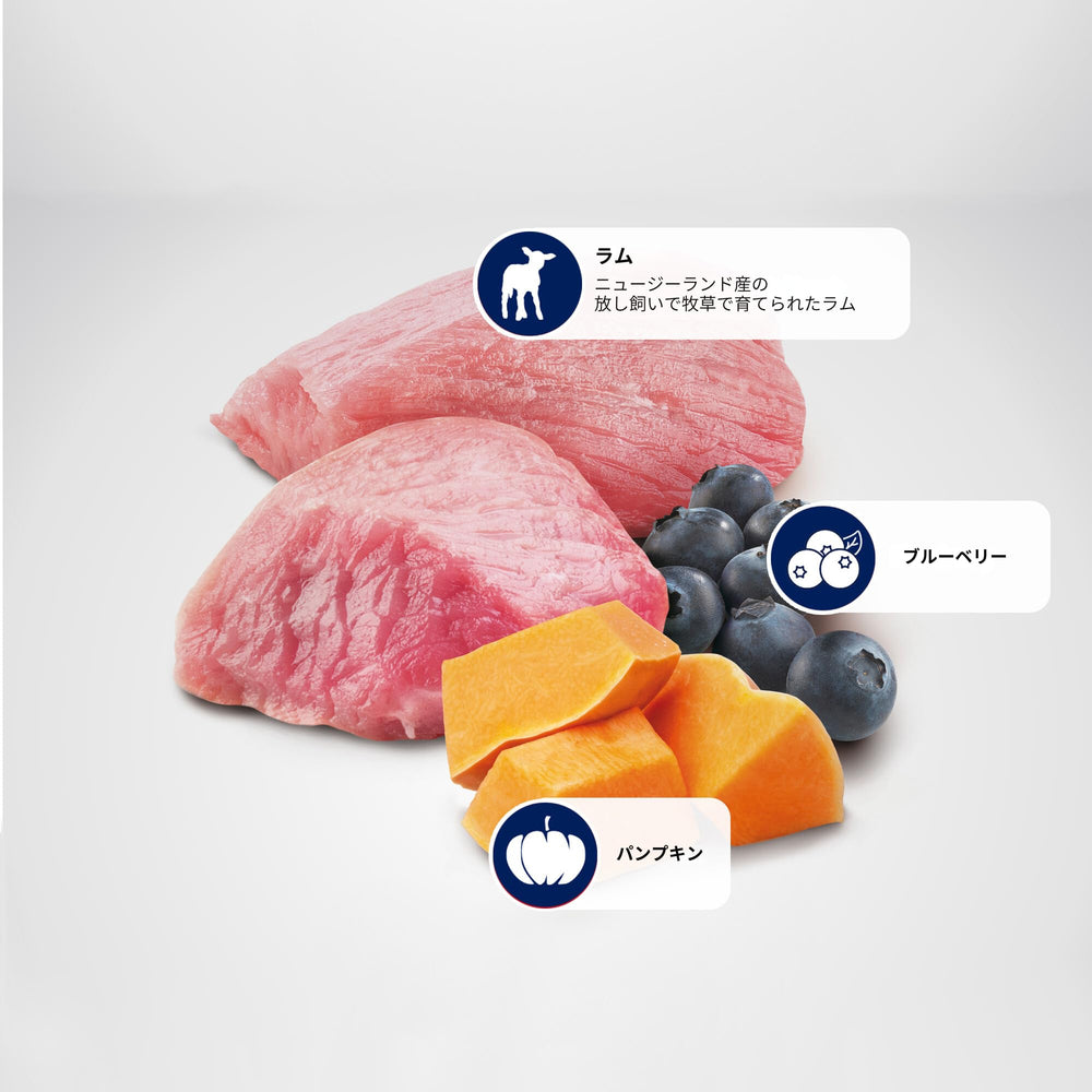 N&D Farmina Lamb & Blueberry Adult Mini kibble close-up shows balanced ingredients