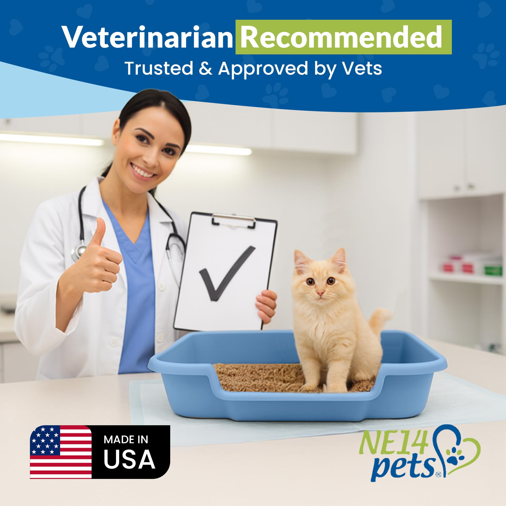 NE14pets KittyGoHere blue large-size litter box supports up to 20 pounds