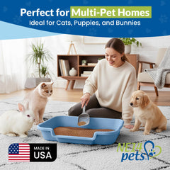 NE14pets KittyGoHere open-top blue entry with clear visibility