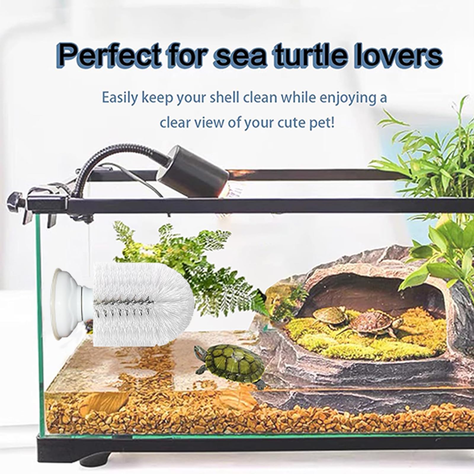 Neacus Turtle Brush targets turtle back and abdomen for dirt removal.