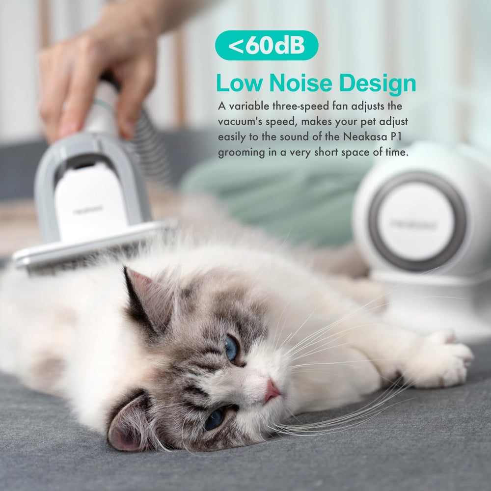 Neakasa P1 Pro fur cleanup helps reduce fur on furniture.