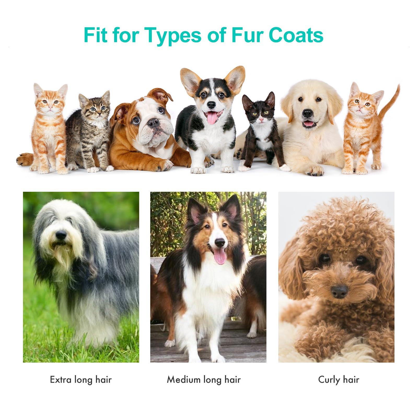 Neakasa P1 Pro low-noise design keeps pets calmer during grooming.