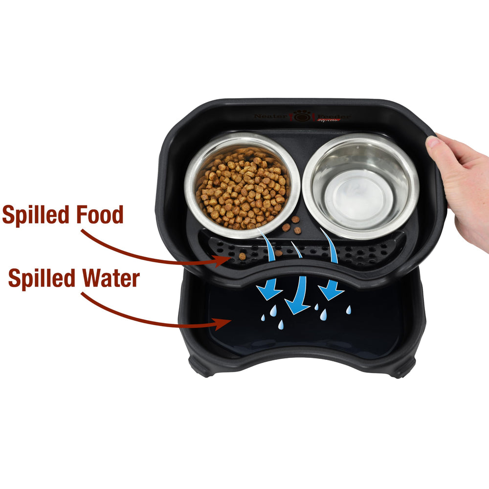 Neater Feeder Express elevated feeding stand demonstrates raised bowls for a healthier posture