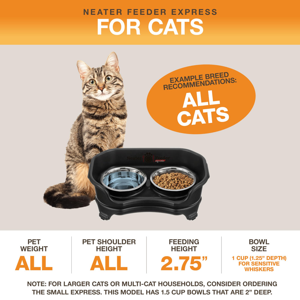 Neater Feeder Express food and water bowls feature durable stainless steel
