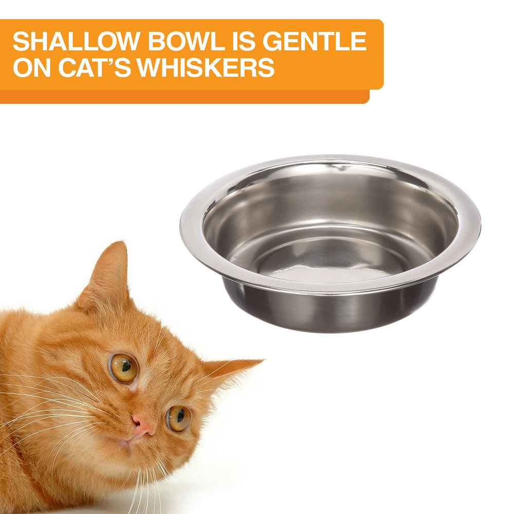 Neater Feeder Express height 2.75 inches clearly elevates bowls for comfortable eating