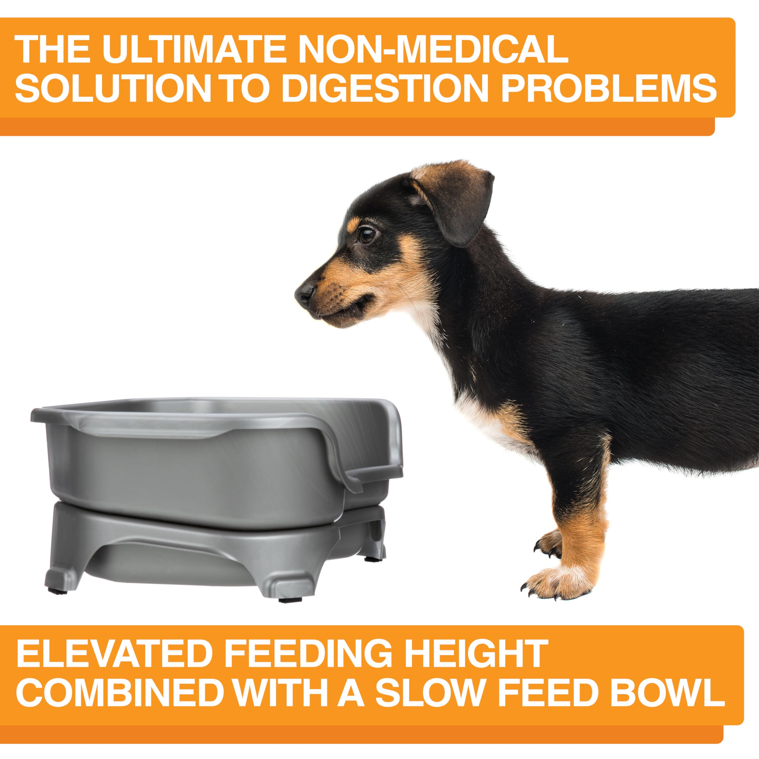 Neater Feeder Express non-slip feet prevent sliding during active meals.