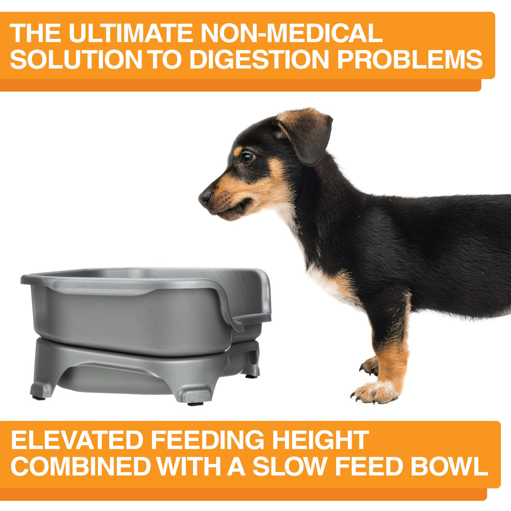 Neater Feeder Express non-slip feet prevent sliding during active meals.