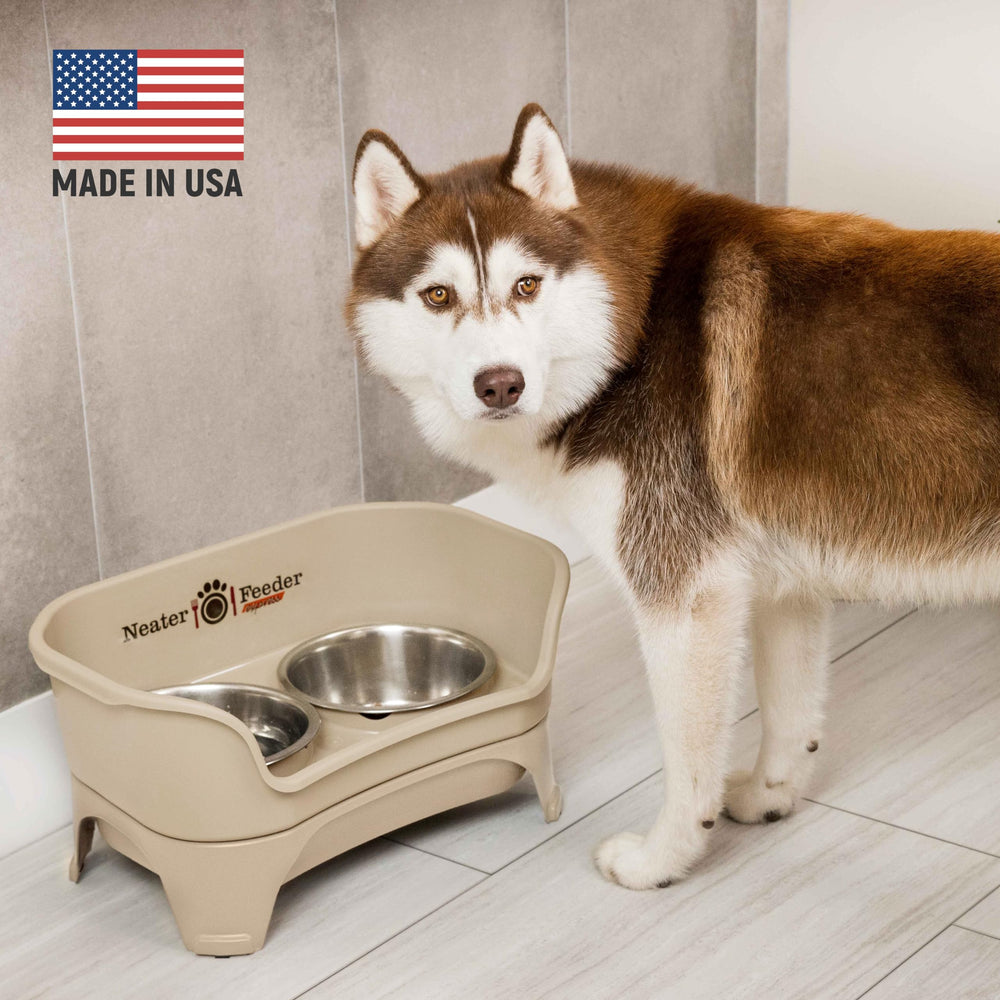 Neater Feeder Express stainless bowls on the stand ensure easy, mess-free feeding.