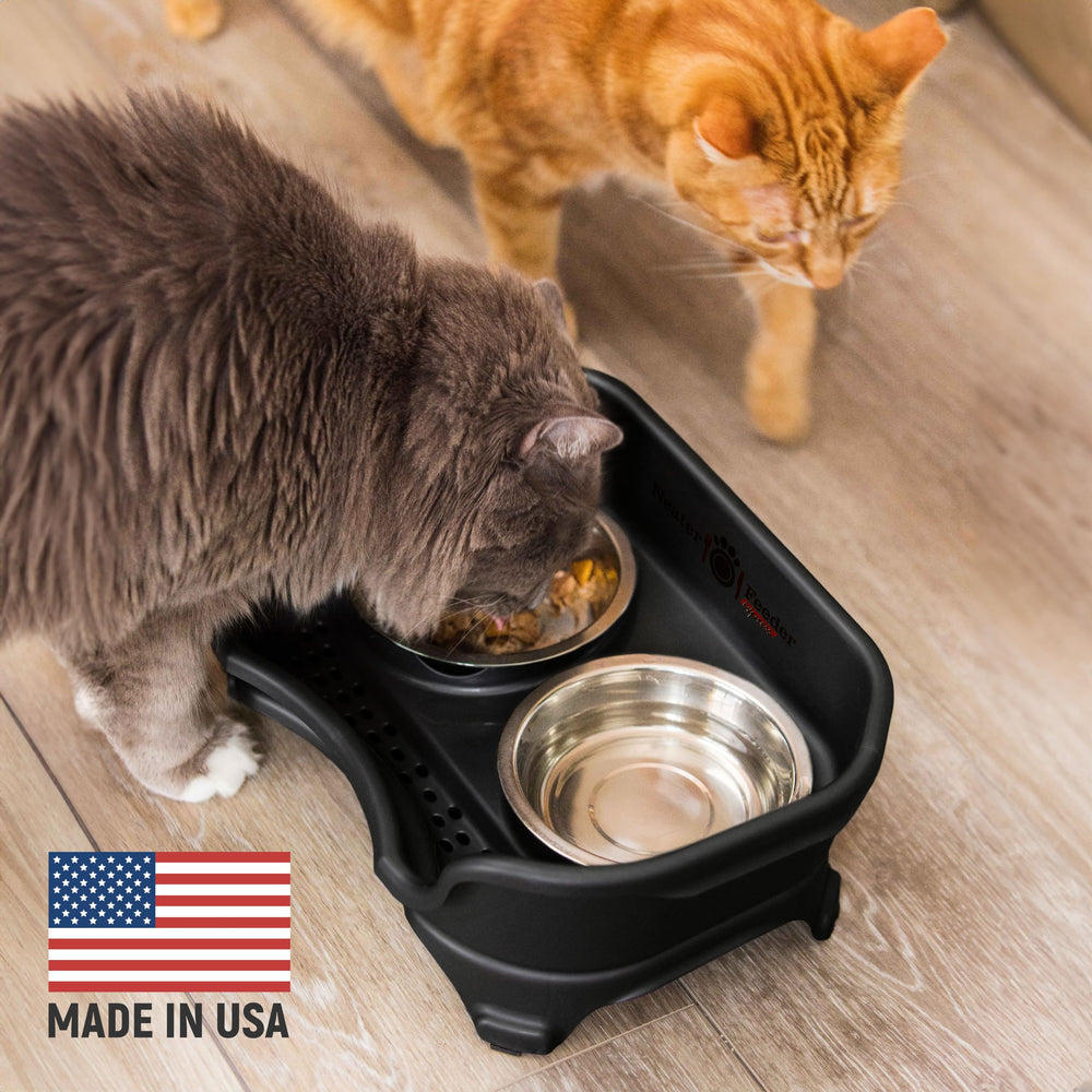 Neater Feeder Express whisker-friendly bowls ready for comfortable meals