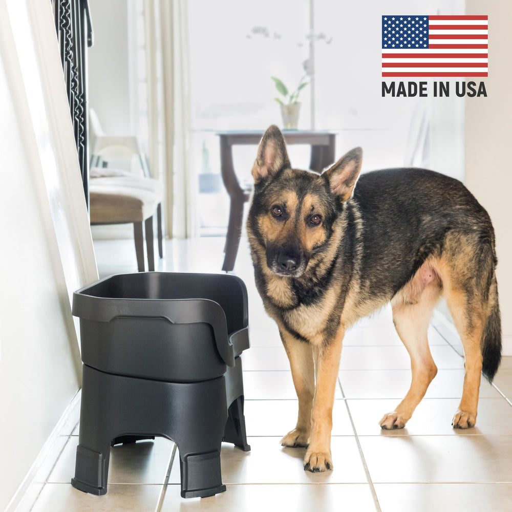 Neater Feeder Large dog elevated stand demonstrates comfortable feeding height.