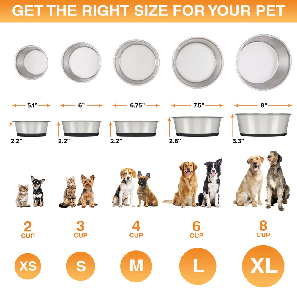 Neater Pet Brands 6-cup capacity bowls suit large dogs during daily meals.