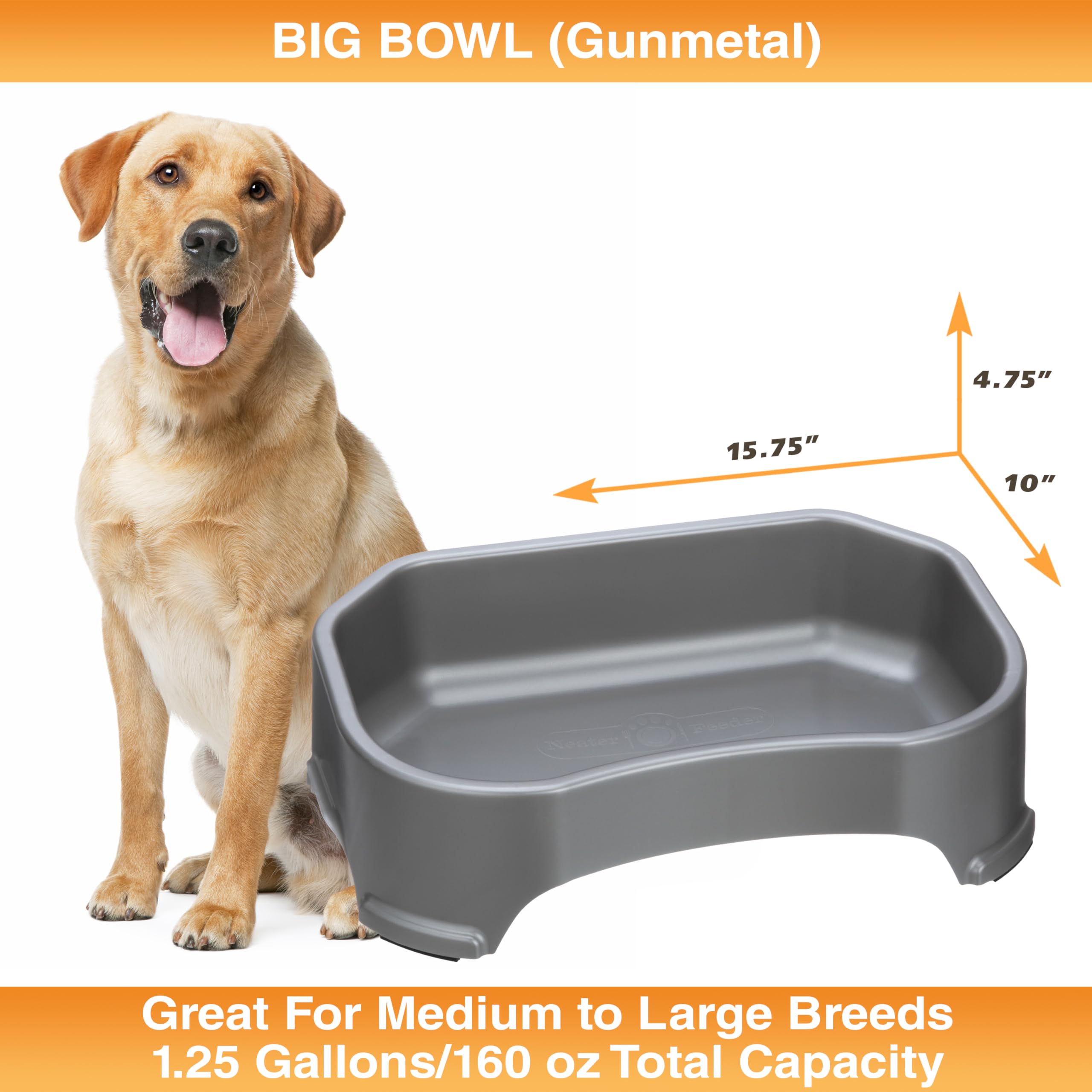 Neater Pet Brands BPA-free plastic ensures safe pet hydration.