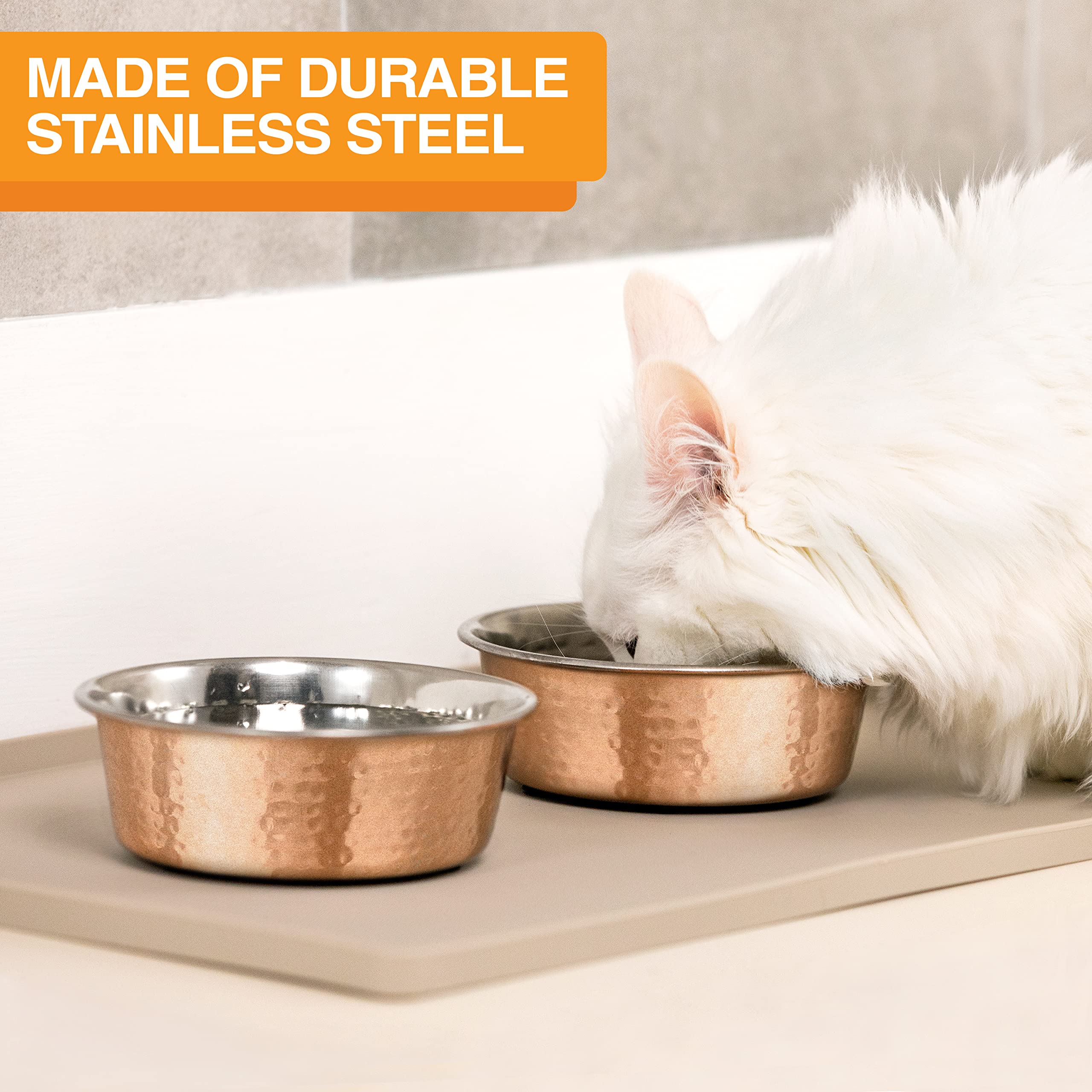 Neater Pet Brands hammered stainless interior supports a clean eating surface.