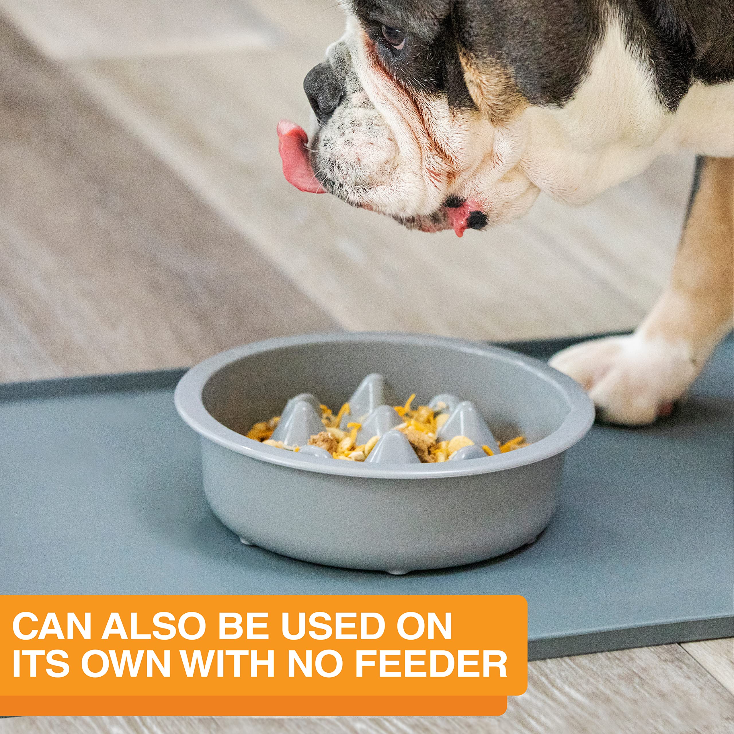 Neater Pet Brands The Niner is top-rack dishwasher safe for easy cleanup