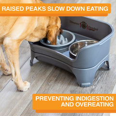 Neater Pet Brands The Niner slow feed bowl interior features nine peaks guiding portions