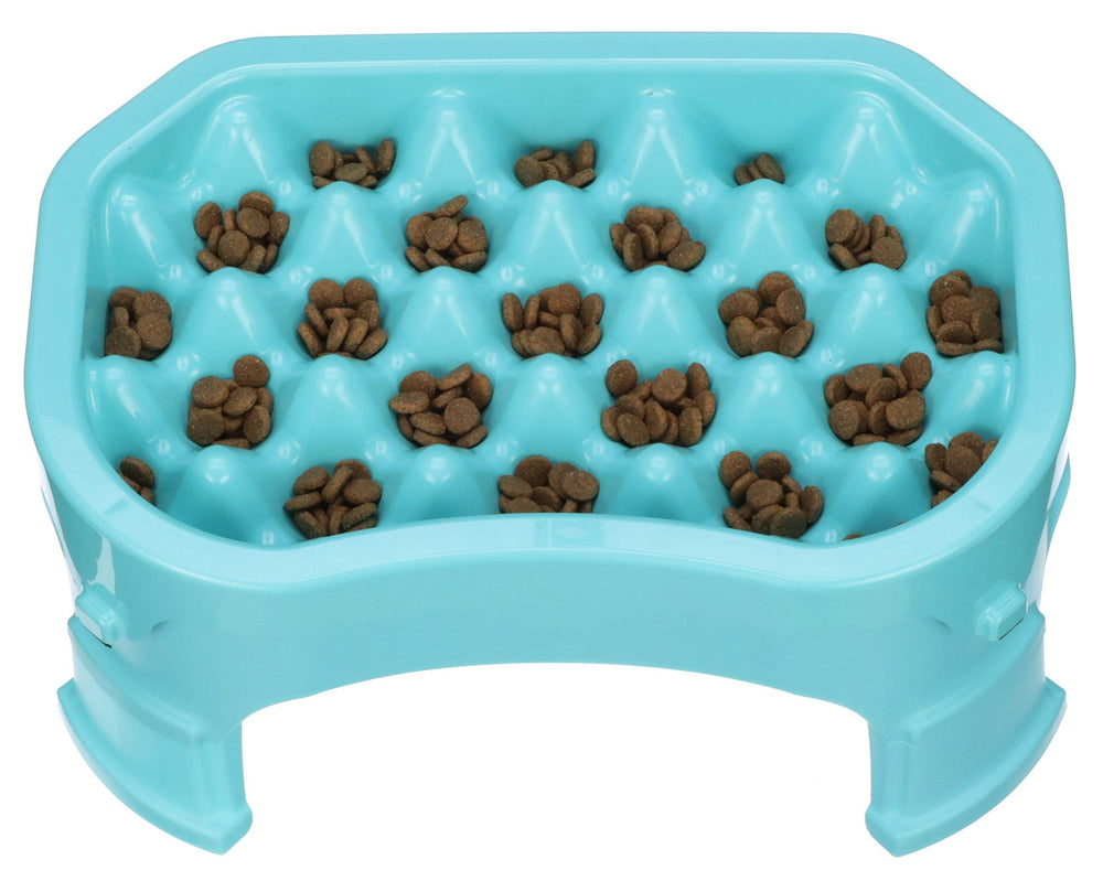 Neater Pet Brands raised slow feeder aquamarine front view for slower eating
