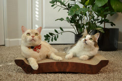 Necoichi cat scratcher bed close-up shows sturdy corrugated material and grip.