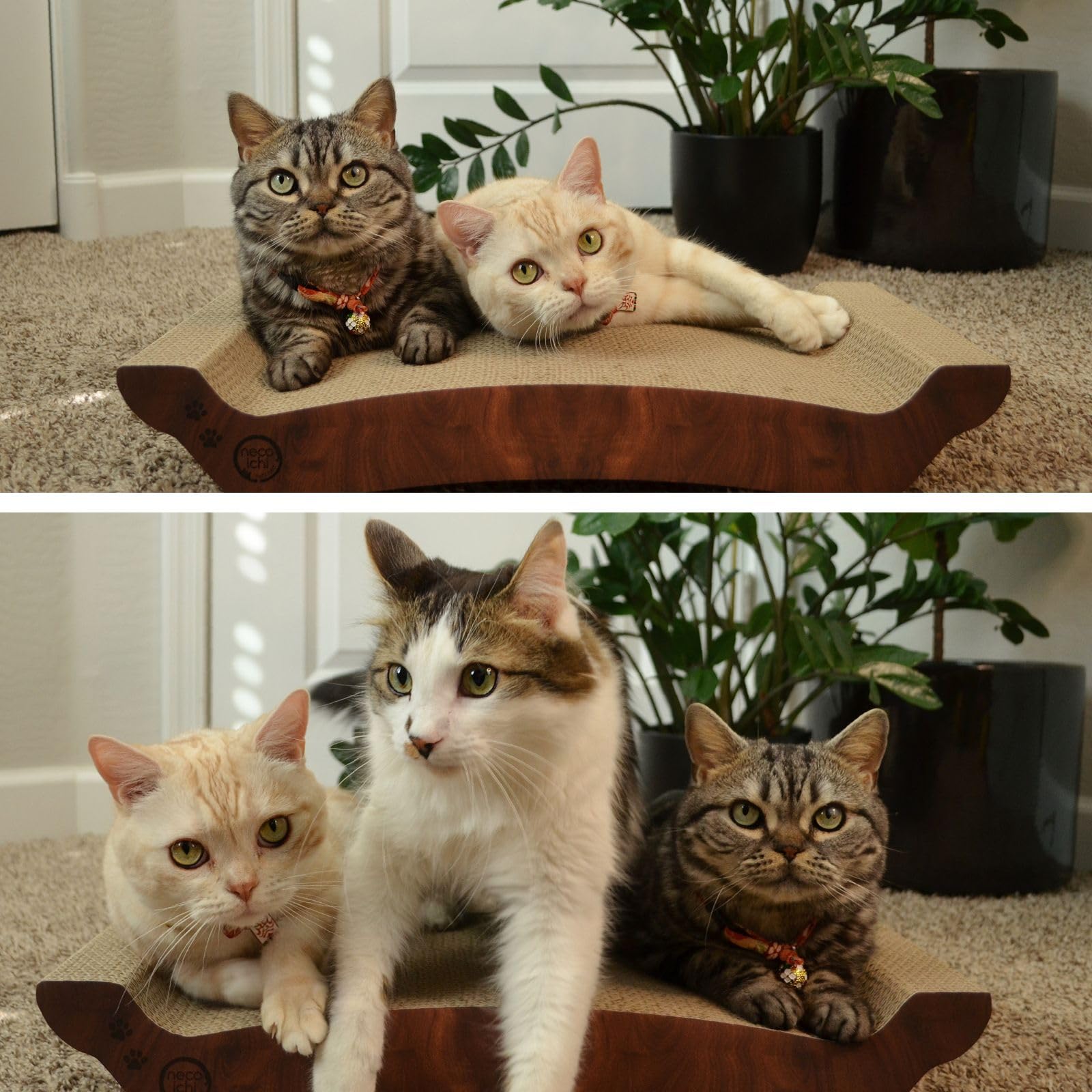 Necoichi horizontal scratcher design highlights durable, reversible usability for extended play.