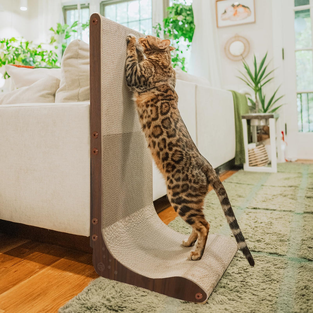 Necoichi cardboard scratcher wall assembly shows sturdy setup protects furniture and promotes natural scratching