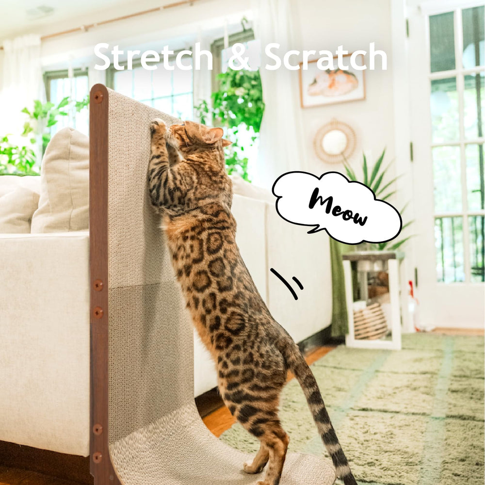 Necoichi cardboard scratcher wall reversible pad highlights versatile scratching and lounging
