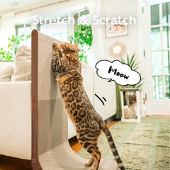 Necoichi cardboard scratcher wall reversible pad highlights versatile scratching and lounging
