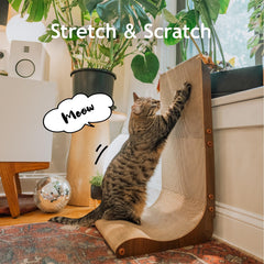 Necoichi reversible scratch pad image shows two-sided use for longer-lasting play.