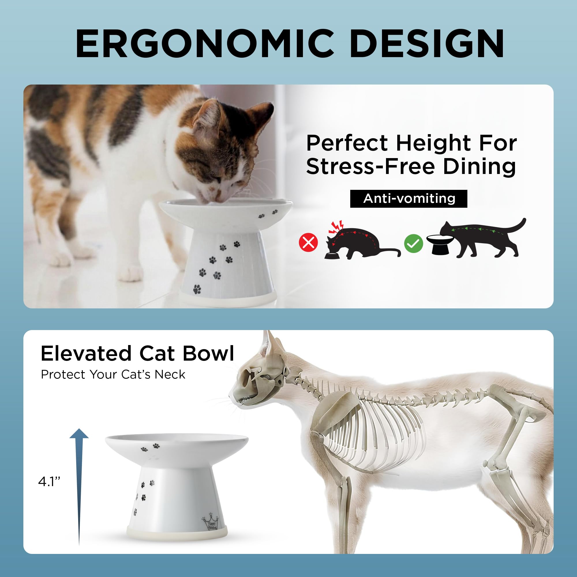 Cat enjoys easier meals using NECOICHI elevated bowl