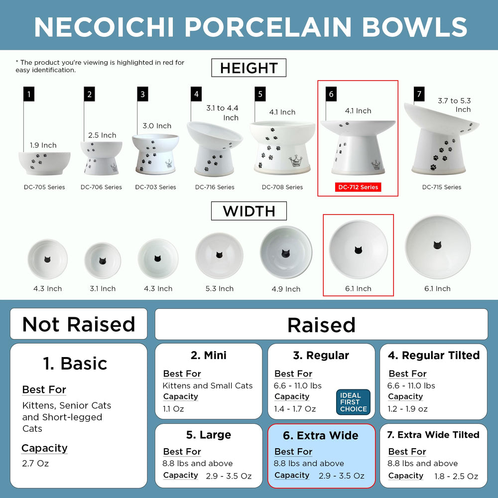 Senior cat choosing NECOICHI elevated bowl for comfort