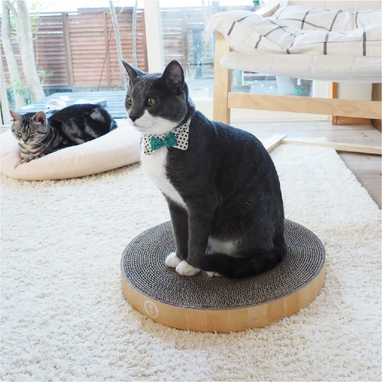 Necoichi cat scratcher bowl regular oak assembly easy pad replacement