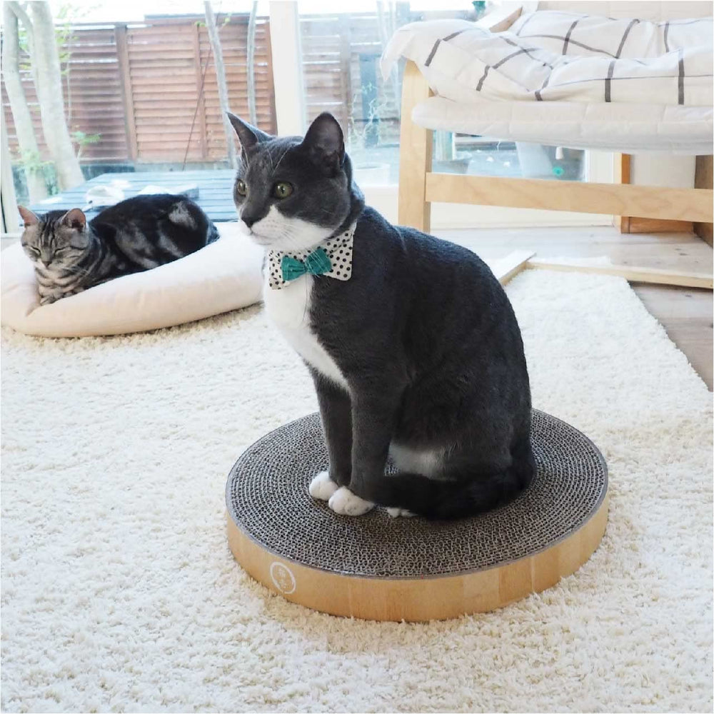 Necoichi cat scratcher bowl regular oak assembly easy pad replacement
