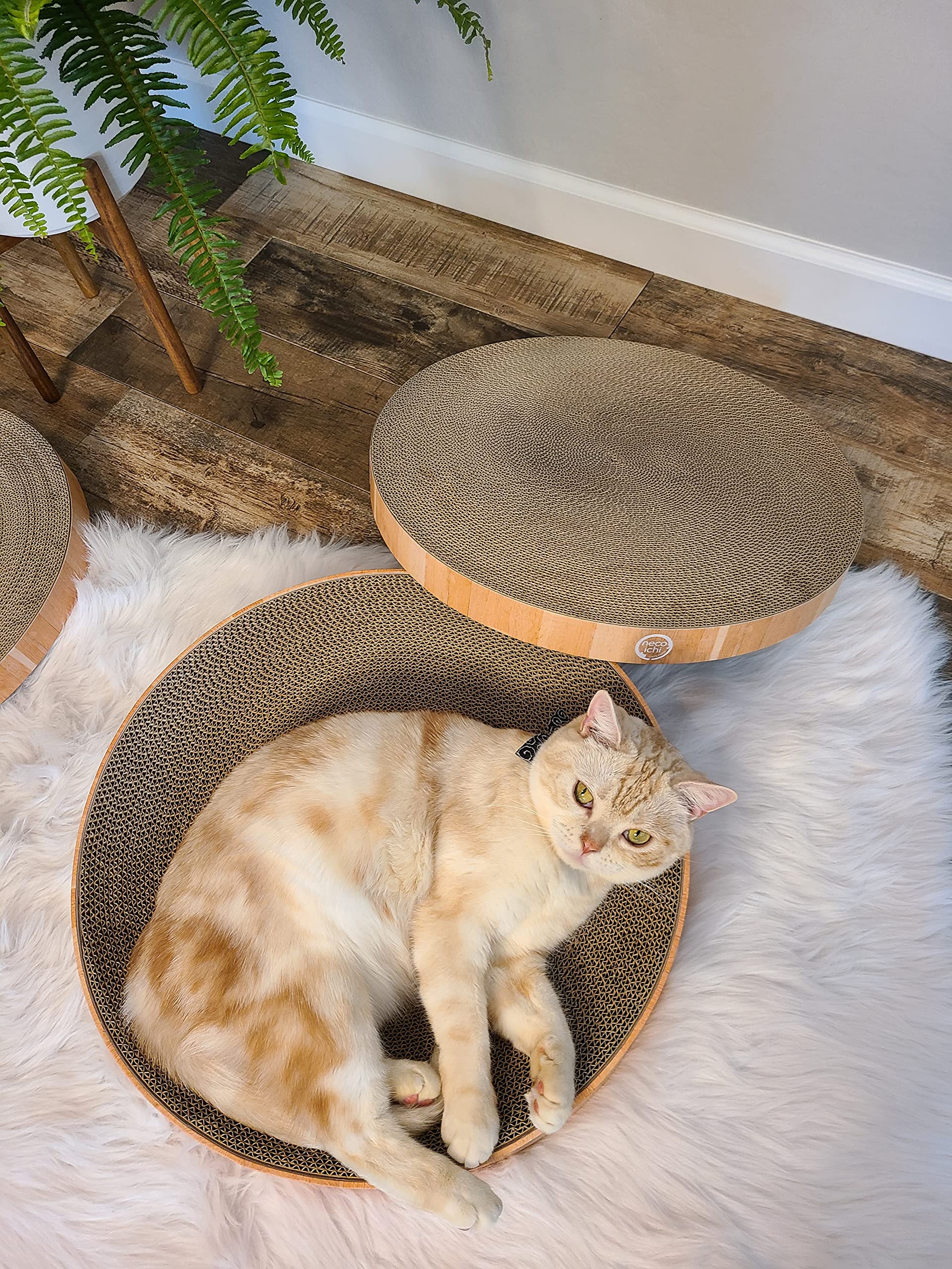 Necoichi cat scratcher bowl regular oak reversible surface extended pad life