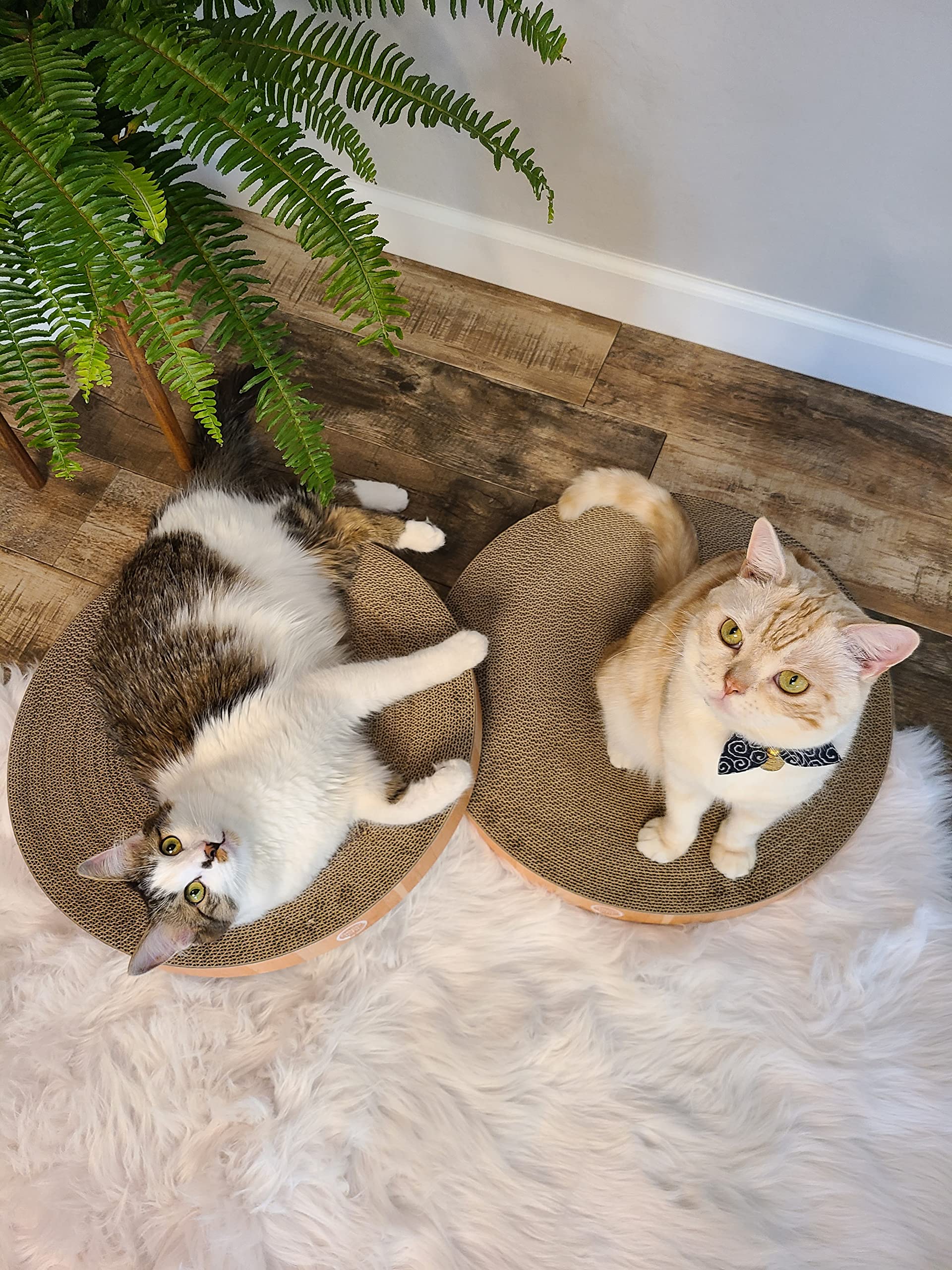 Necoichi cat scratcher bowl regular oak side panel durable recycled material