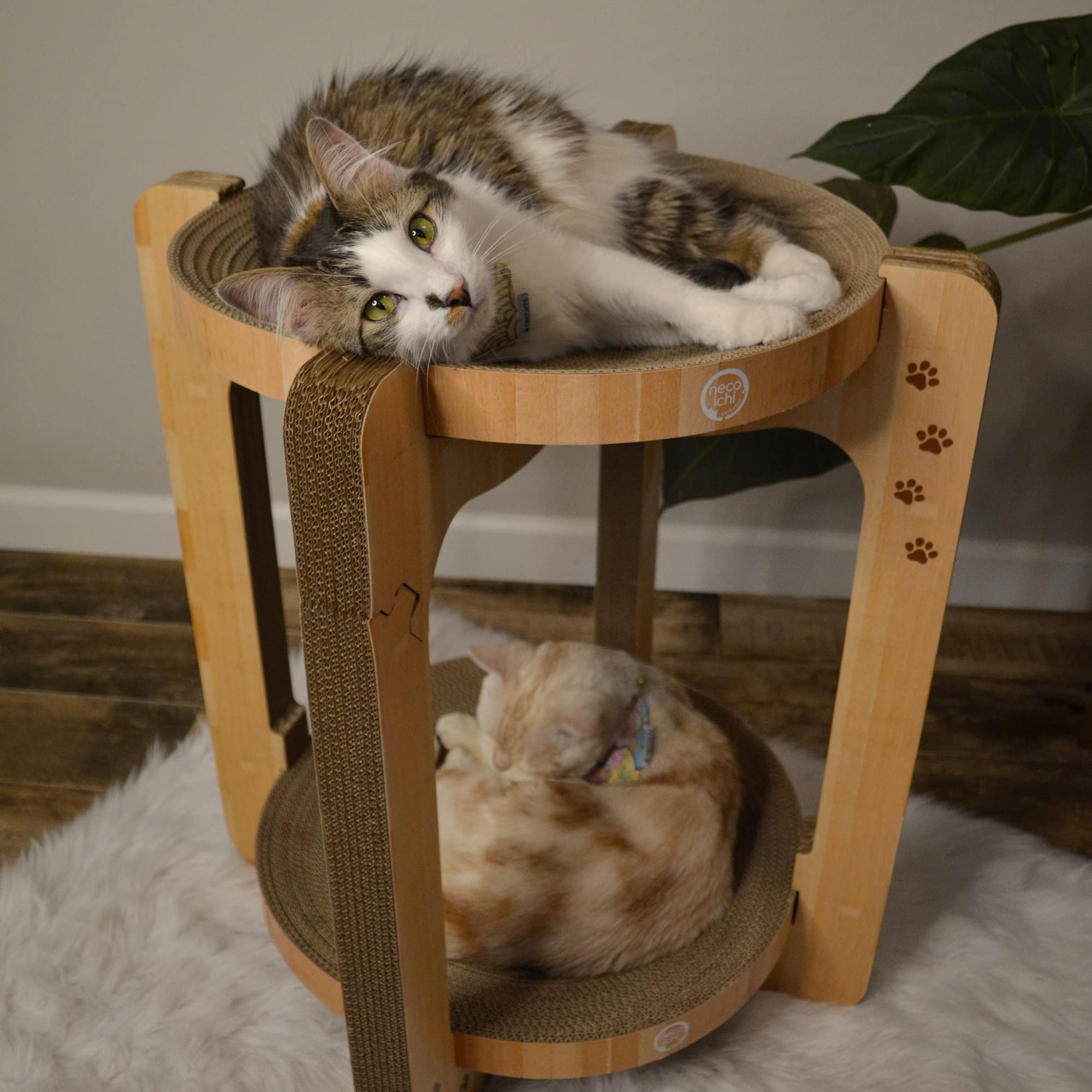 Necoichi Cat Scratcher Tower two-cat use case shows shared scratching and lounging