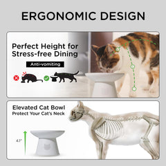 Necoichi elevated cat bowls prevent vomiting with comfortable eating height.