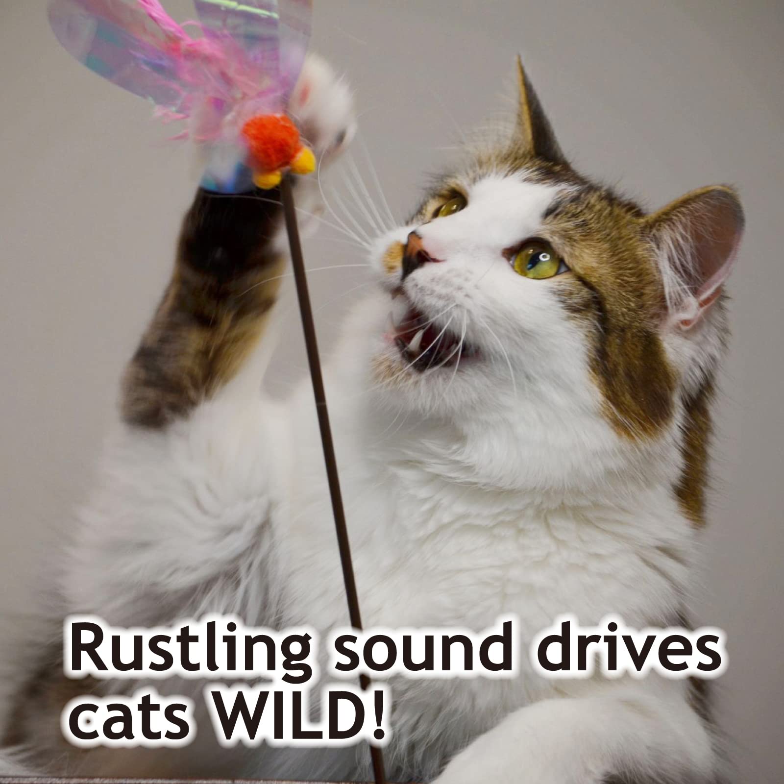 NECOICHI Fluttery Wings in action; dynamic movement sparks chase.