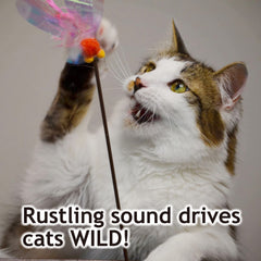 NECOICHI Fluttery Wings in action; dynamic movement sparks chase.