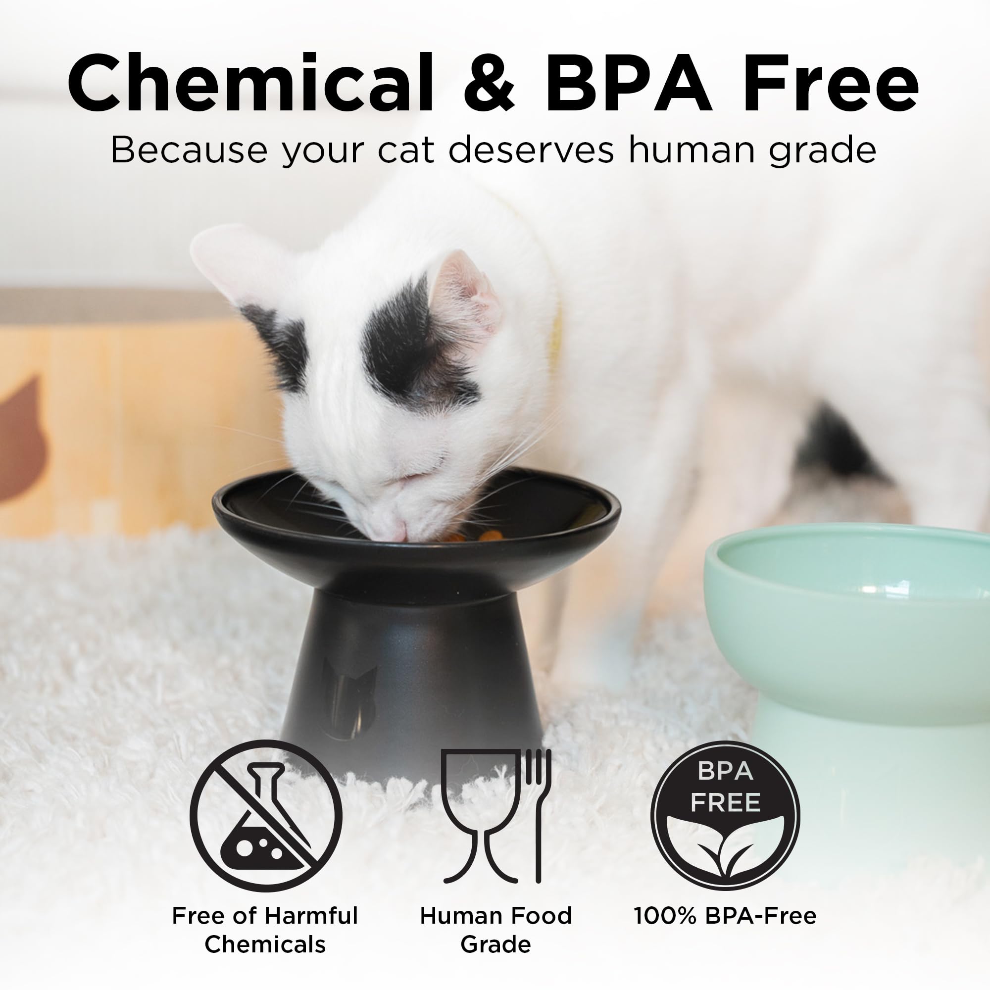 Necoichi BPA-free, food-grade material ensures safe dining
